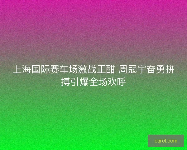 上海国际赛车场激战正酣 周冠宇奋勇拼搏引爆全场欢呼