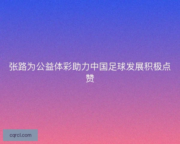 张路为公益体彩助力中国足球发展积极点赞